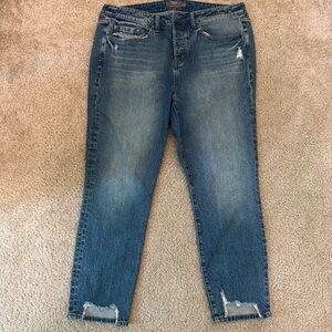 Torrid Jeans - high rise straight - size 12